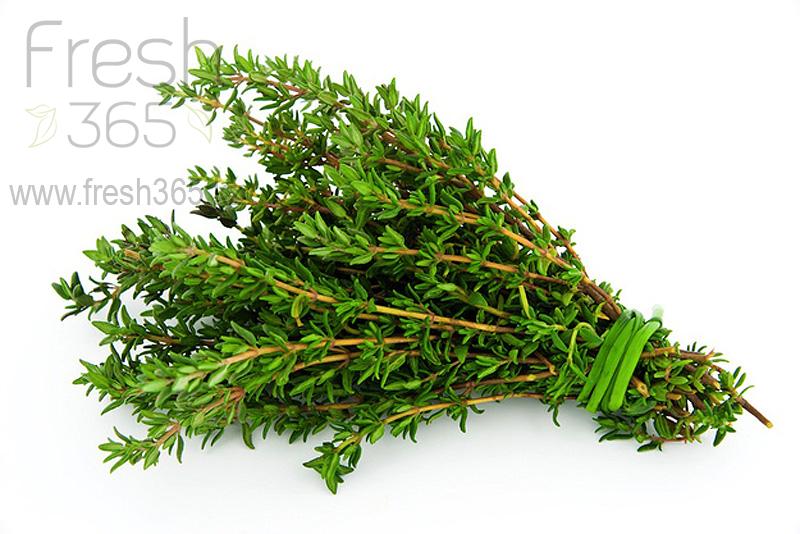 Тимьян / Thyme