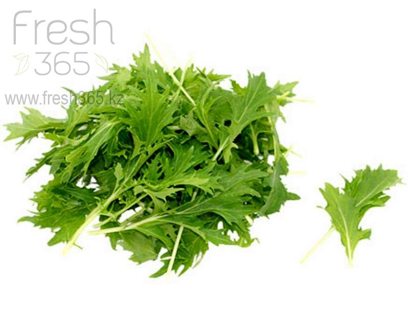 Бейби листья Мицуна зеленая / Mizuna Green baby leaves