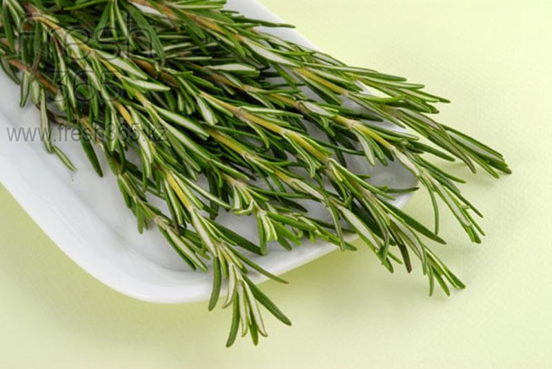 Розмарин / Rosemary