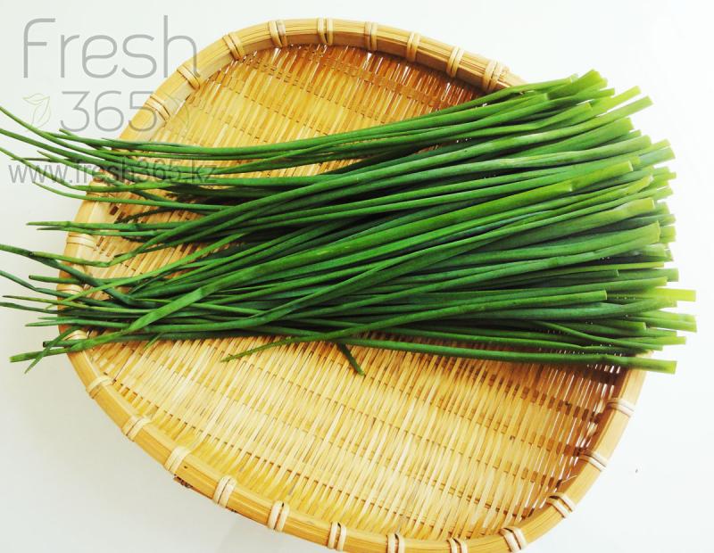Лук Резанец / Chives