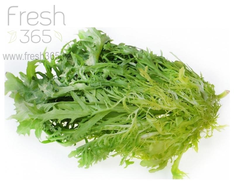 Фризе зеленое / Frisee Green