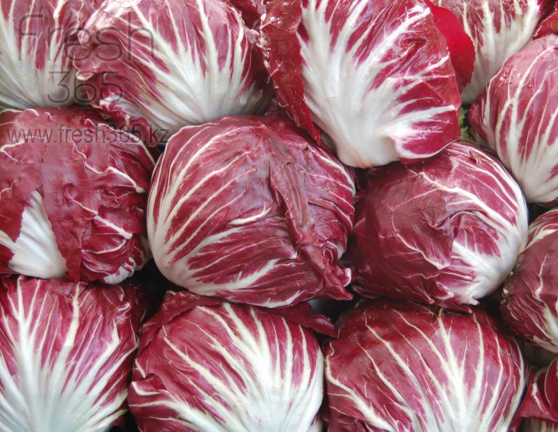 Радичио / Radicchio
