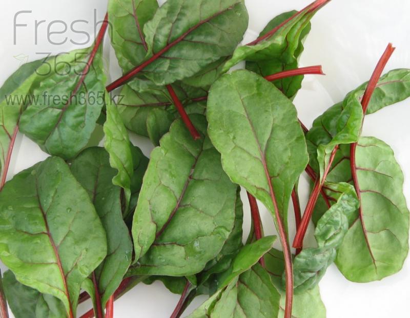 Бейби листья Мангольда / Red Chard baby leaves