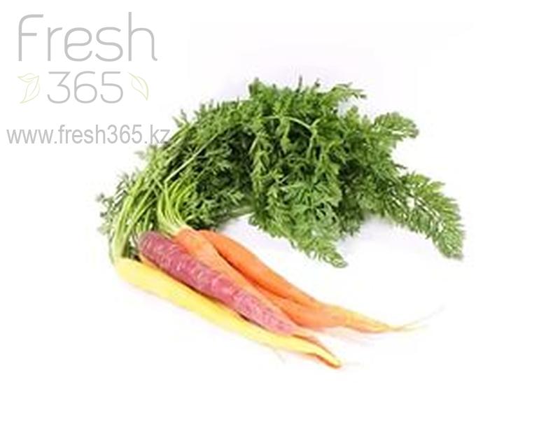 Бейби морковь радуга / Baby Carrot with leaves RAINBOW