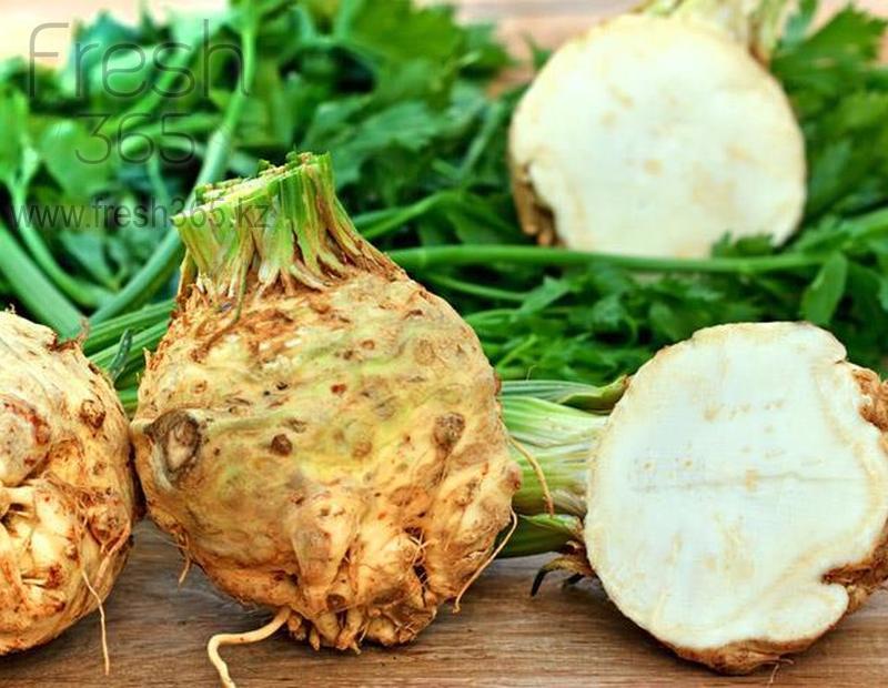 Корень сельдерея / Celery Root