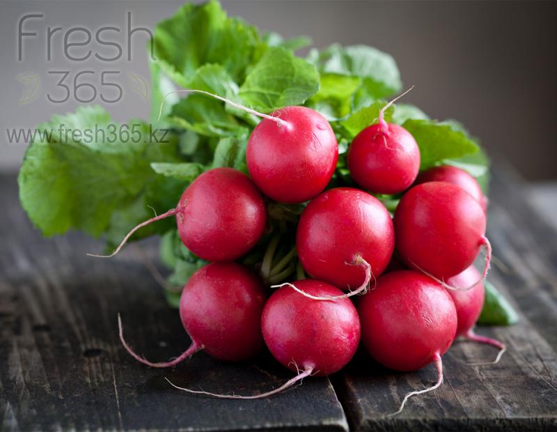 Редис / Radish