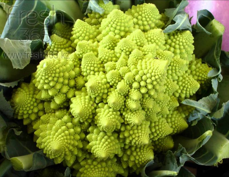 Романеско / Romanesco