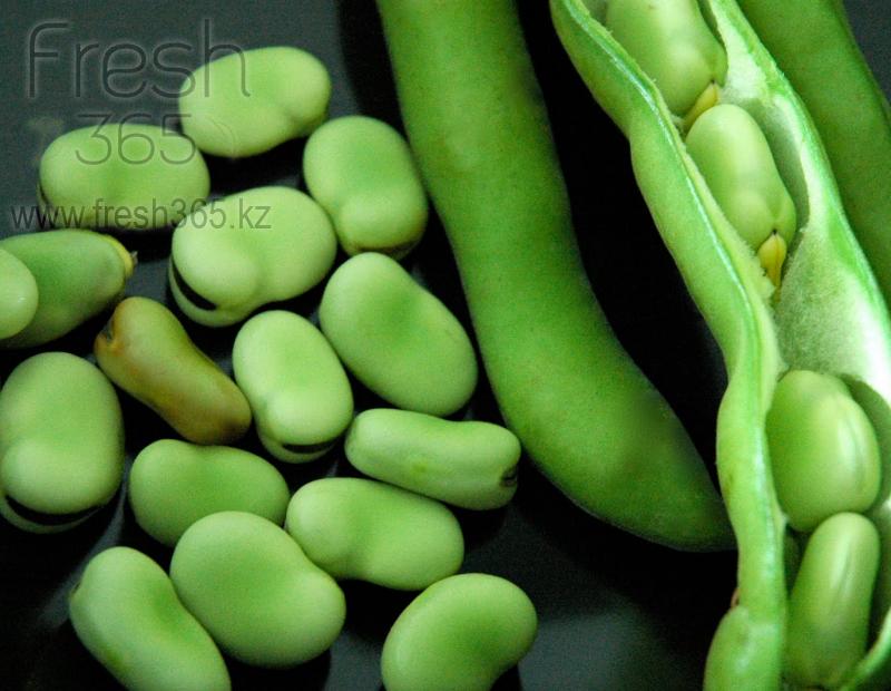 Бобы (фасоль фава) / Fava