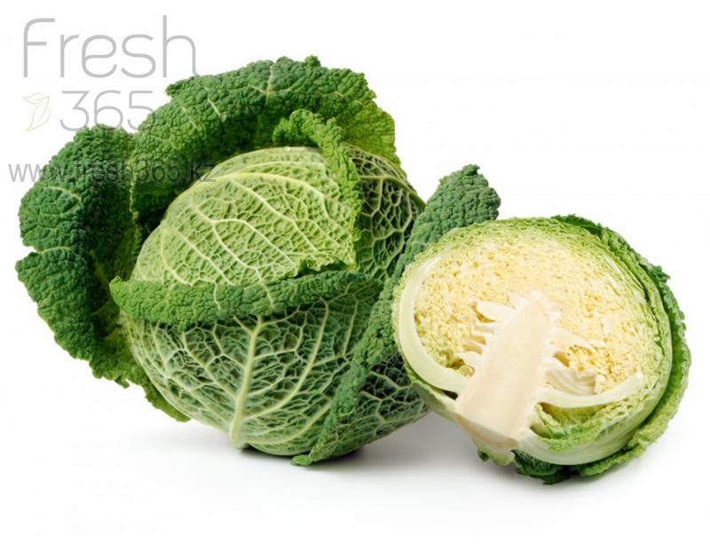 Савойская капуста / Cabbage Savoy