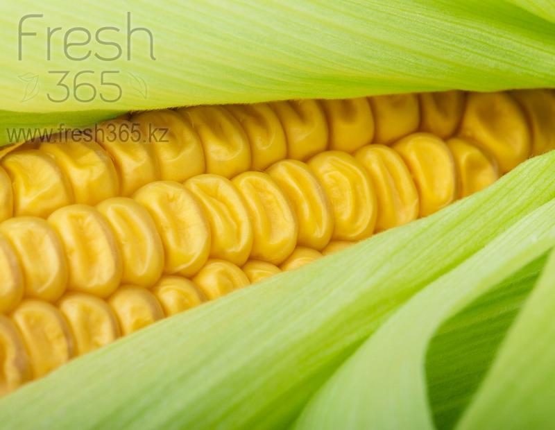 Кукуруза Сладкая / Sweetcorn