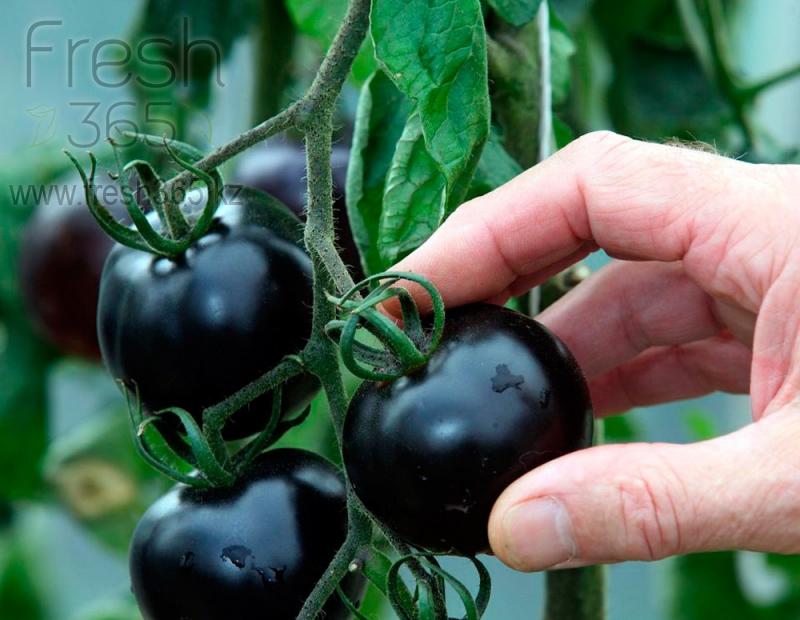 Помидор Кумато / Tomatoes Kumato Loose