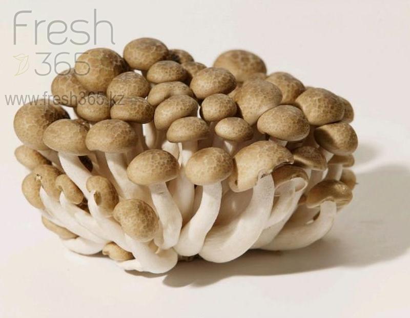 Шимиджи коричневые / Mushrooms Shimiji Brown