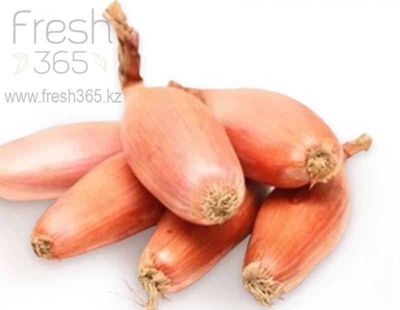 Лук Шалот / Shalot Onion