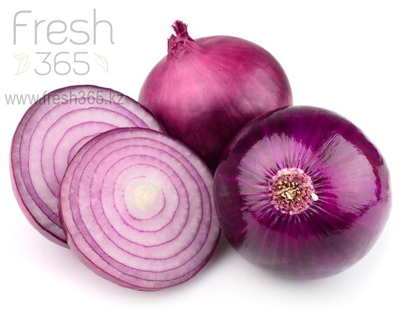 Красный лук / Red Onion