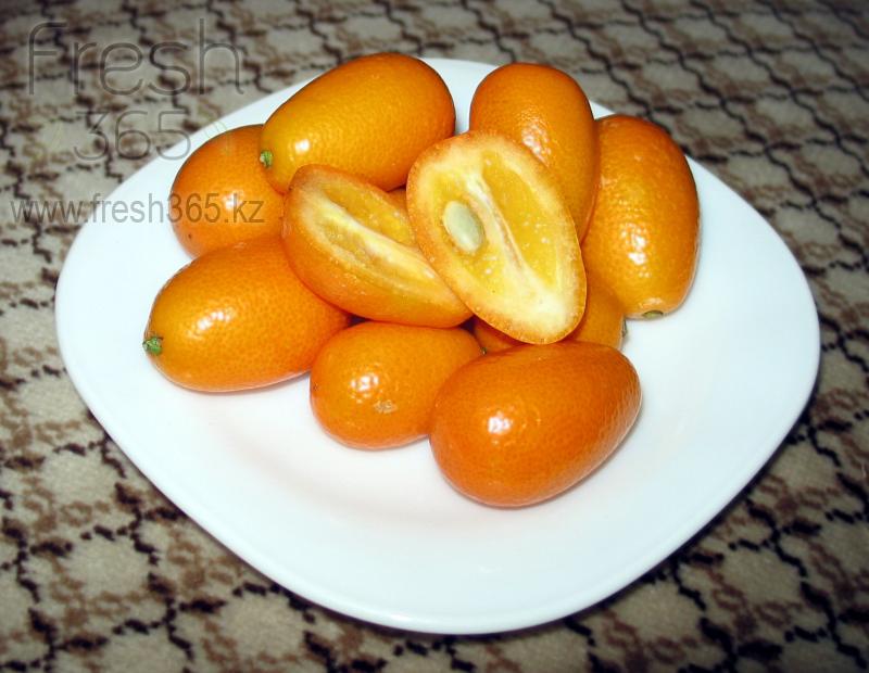 Кумкват / Kumquat