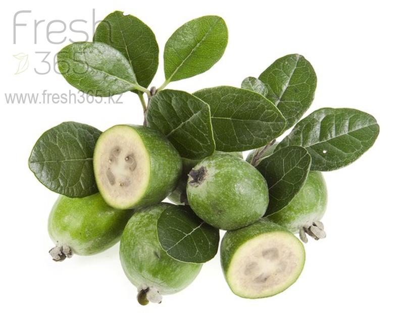 Фейхоа / Feyoa