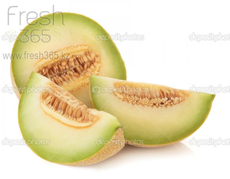 Дыни Галия / Melons Galia