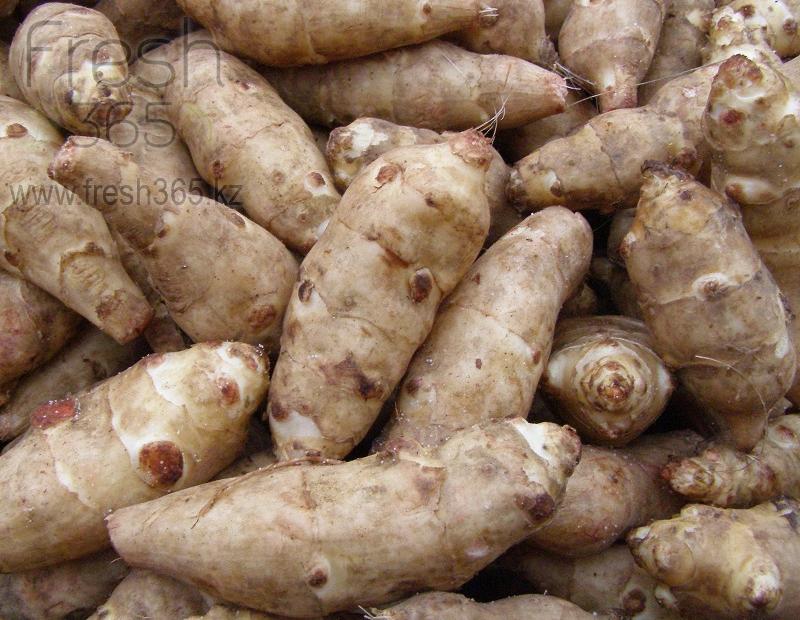 Топинамбур / Topinambur