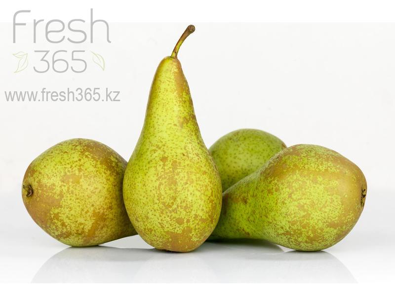 Груши Конференс / Pears Conference