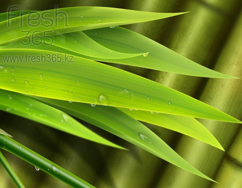 Листья бамбука / Bamboo Leaves