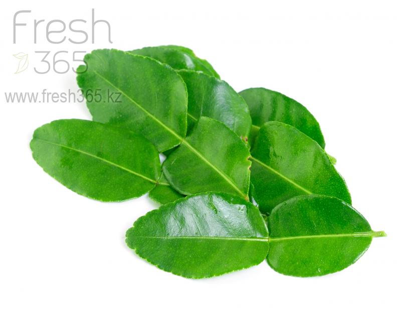 Листья лайма свежие / Lime Leaves Fresh