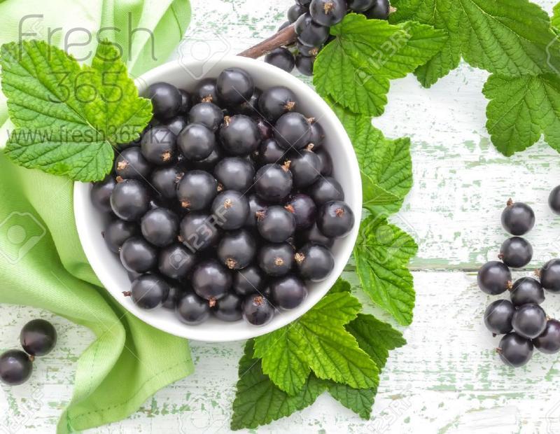 Смородина черная / Black Currant