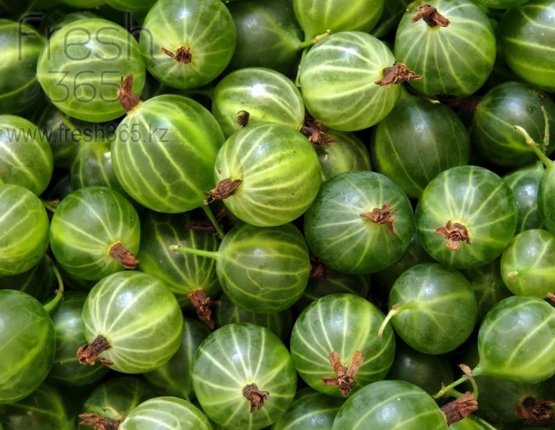 Крыжовник / Gooseberry