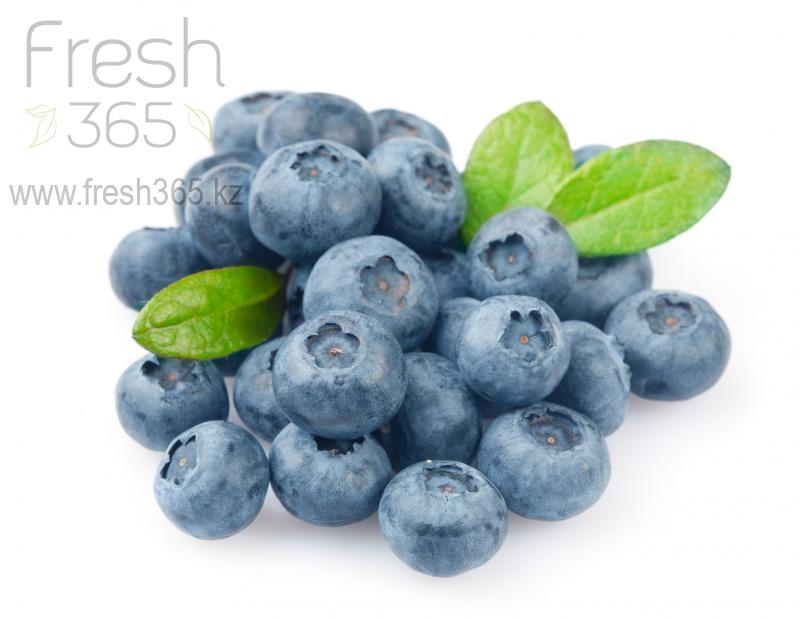 Голубика / Blueberry