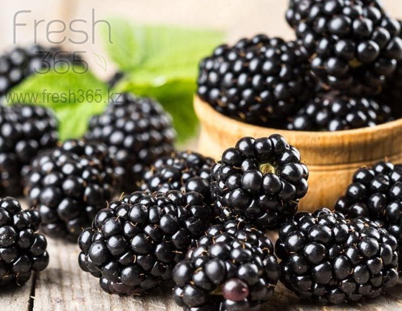 Ежевика / Blackberry