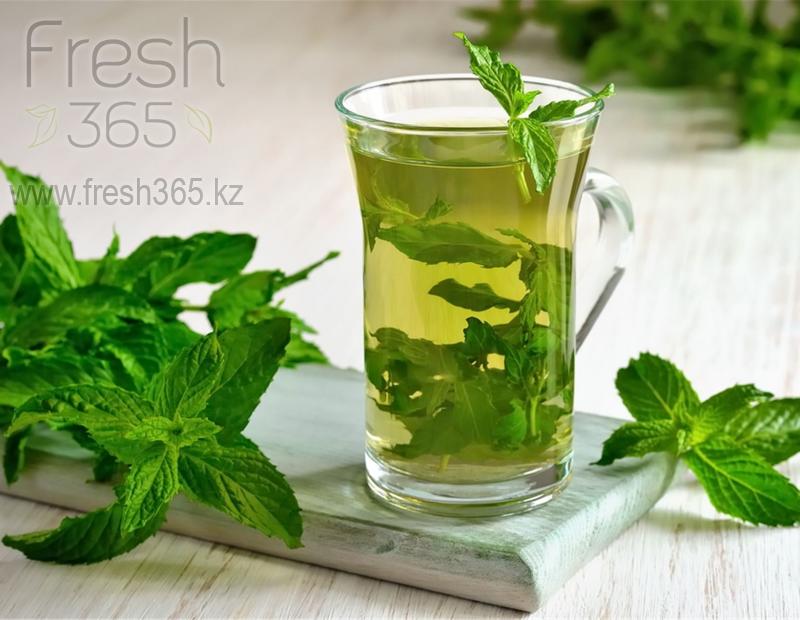 Мята / Mint