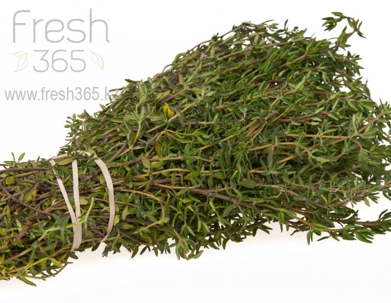 Тимьян / Thyme