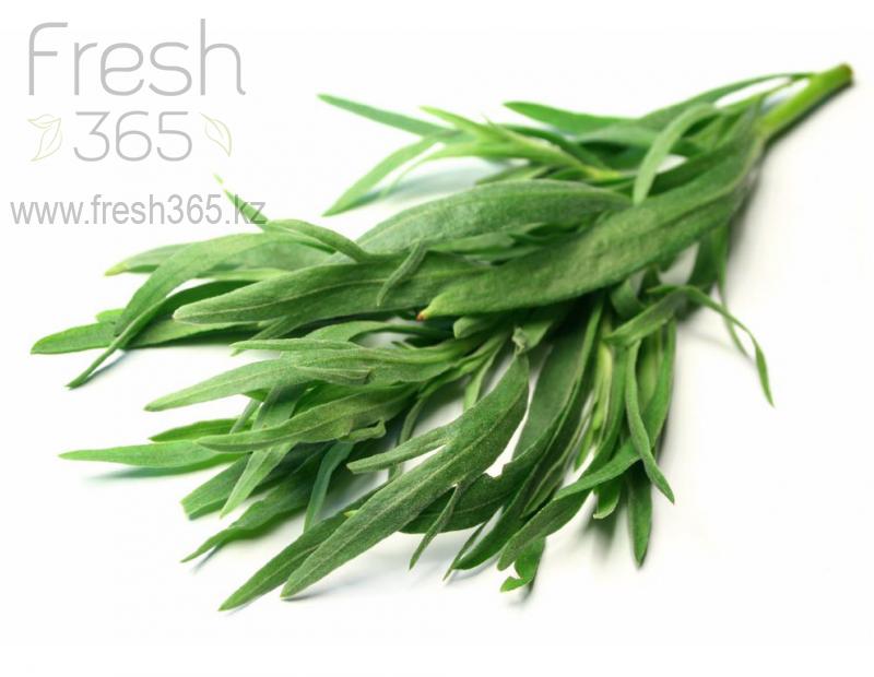 Эстрагон / Tarragon