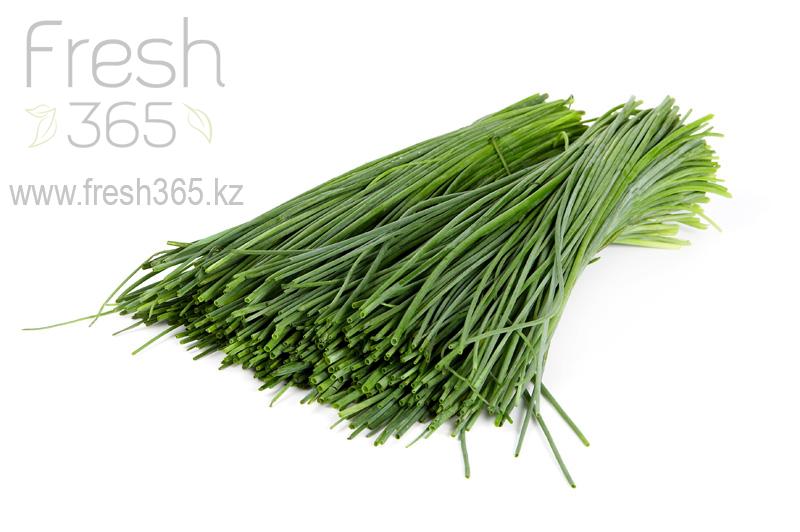 Лук Резанец / Chives