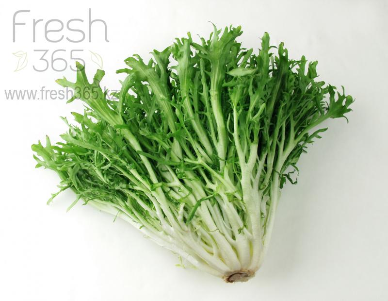 Фризе зеленое / Frisee Green