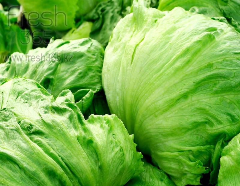 Айсберг / Iceberg