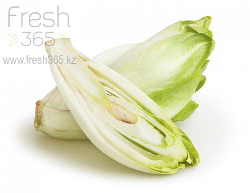 Цикорий белый / White Endive