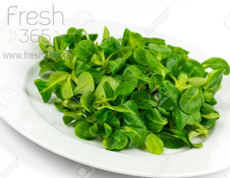 Бейби листья Корна / Mache baby leaves