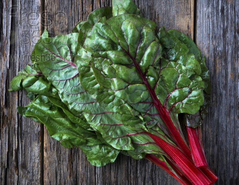 Бейби листья Мангольда / Red Chard baby leaves