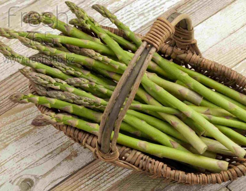 Спаржа зеленая / Asparagus Green