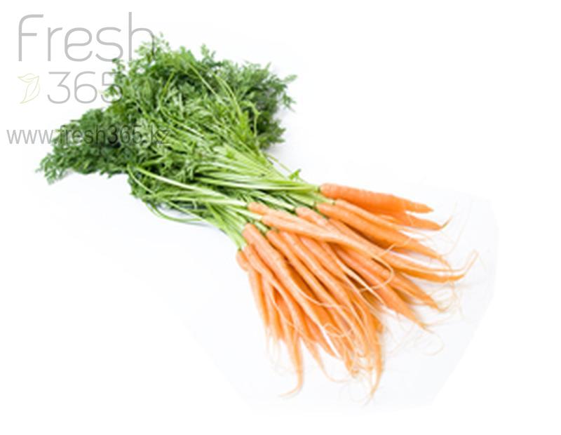 Бейби морковь с ботвой / Baby Carrot with leaves