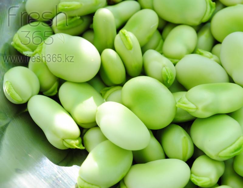 Бобы (фасоль фава) / Fava