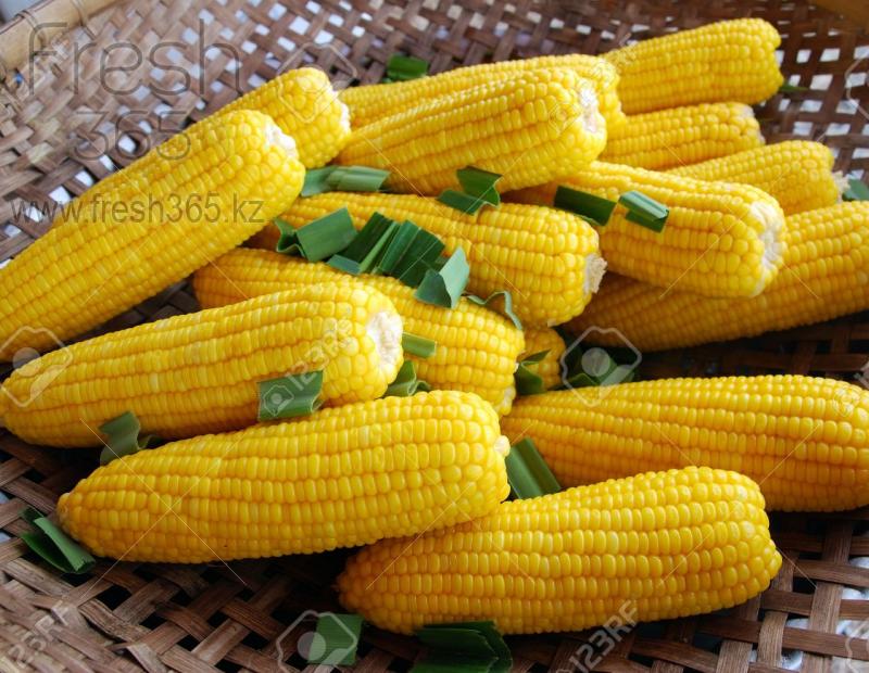 Кукуруза сладкая полугодовая / Sweetcorn pre-cooked