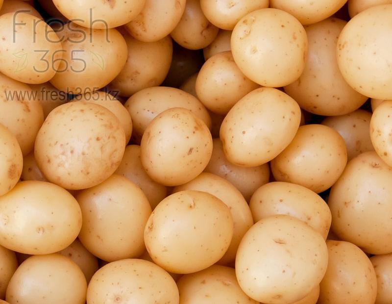 Бейби картофель / Potato Baby