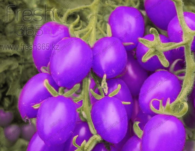 Черри фиолетовые / Cherry Purple