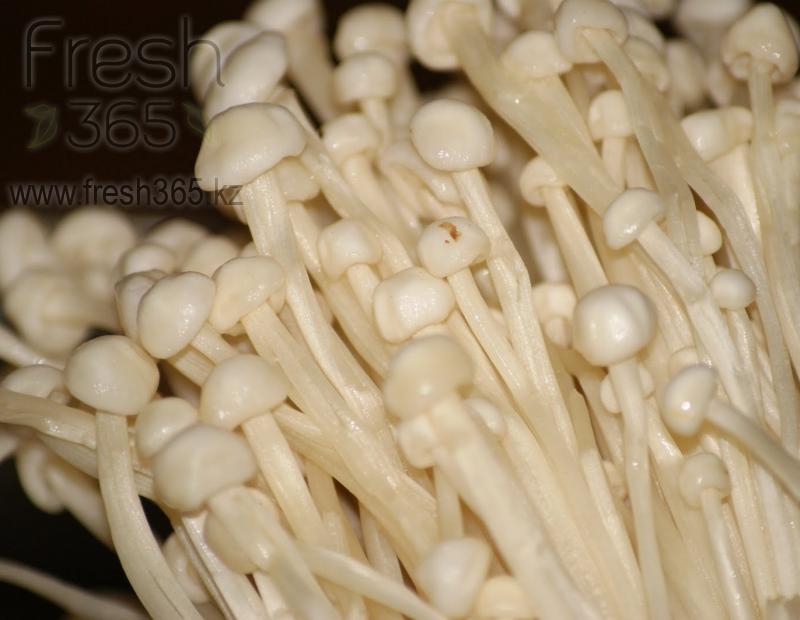 Еноки / Mushrooms Enoki