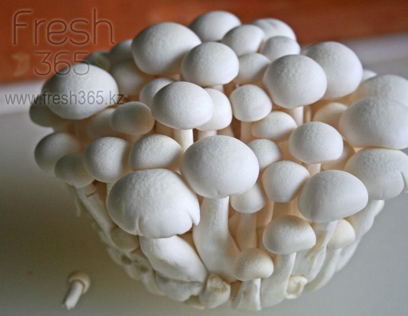 Шимиджи белые / Mushrooms Shimiji White