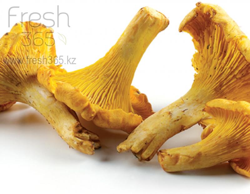 Грибы Лисички / Mushrooms Cantharel Girolle