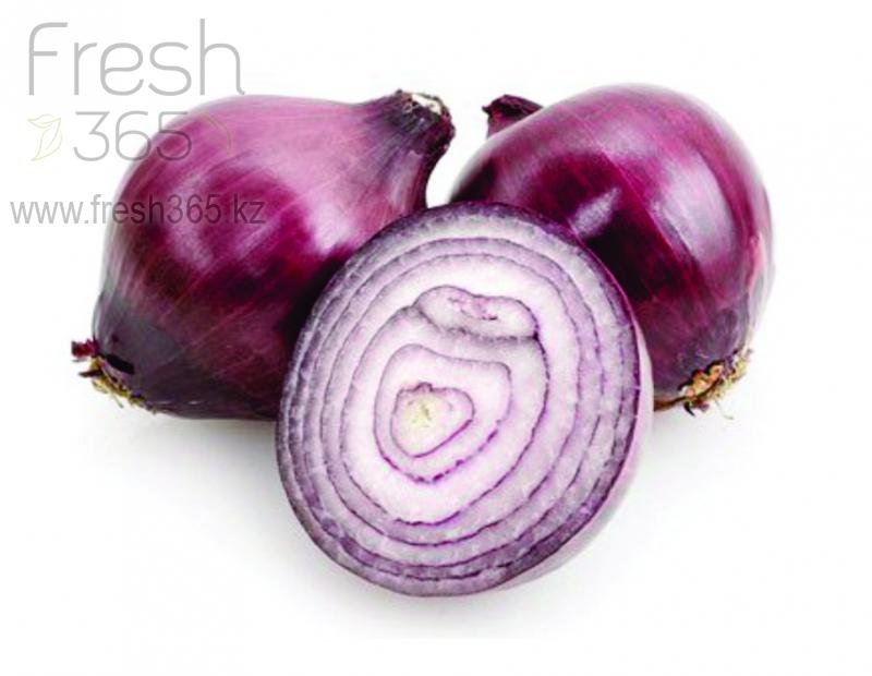 Красный лук / Red Onion