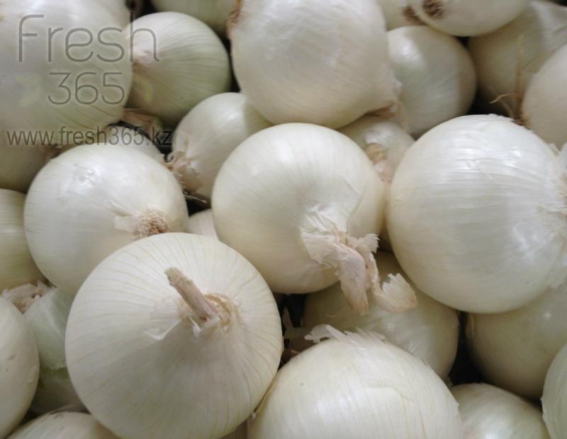 Бейби белый лук / Baby White Onion