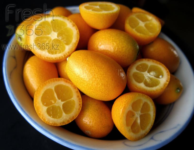 Кумкват / Kumquat